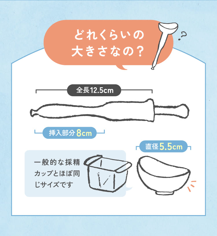 どれくらいの大きさなの？