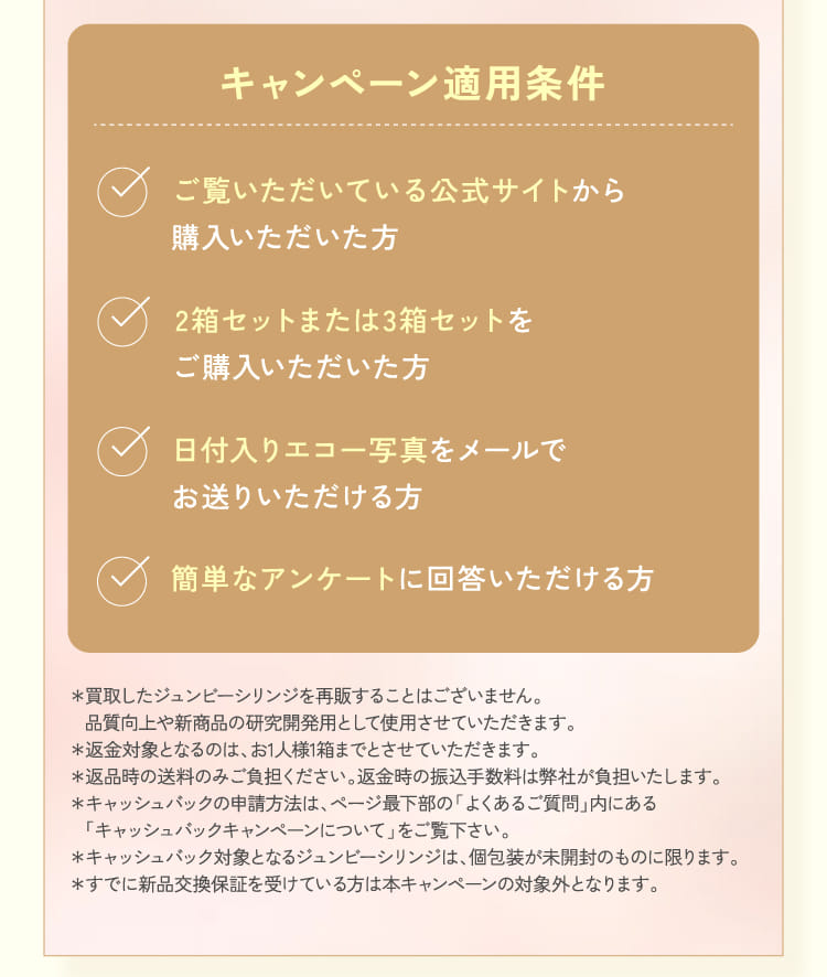 キャンペーン適用条件