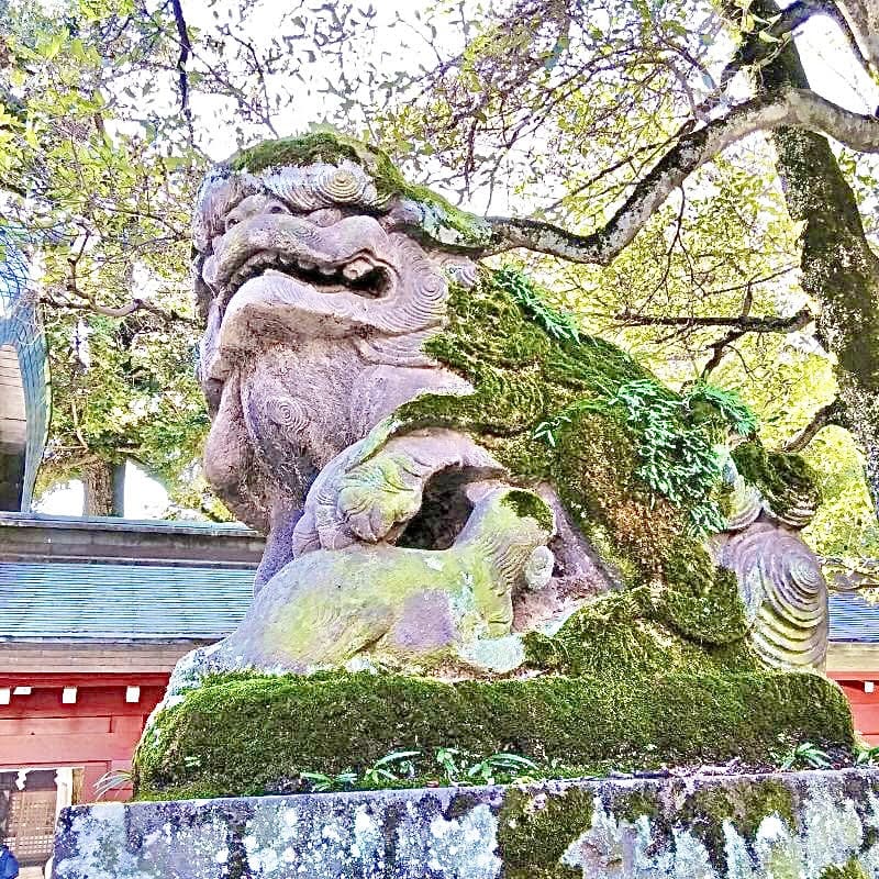 大國魂神社「狛犬」