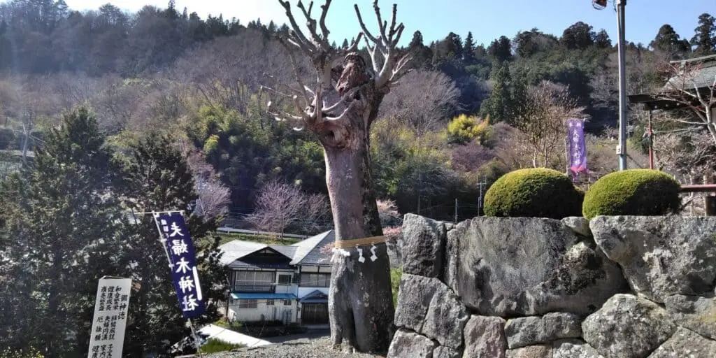 夫婦木神社姫の宮 ストア ペット連れ