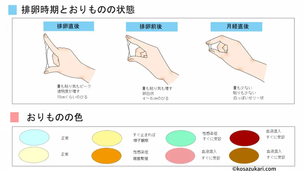 乳液 おりもの 陽性