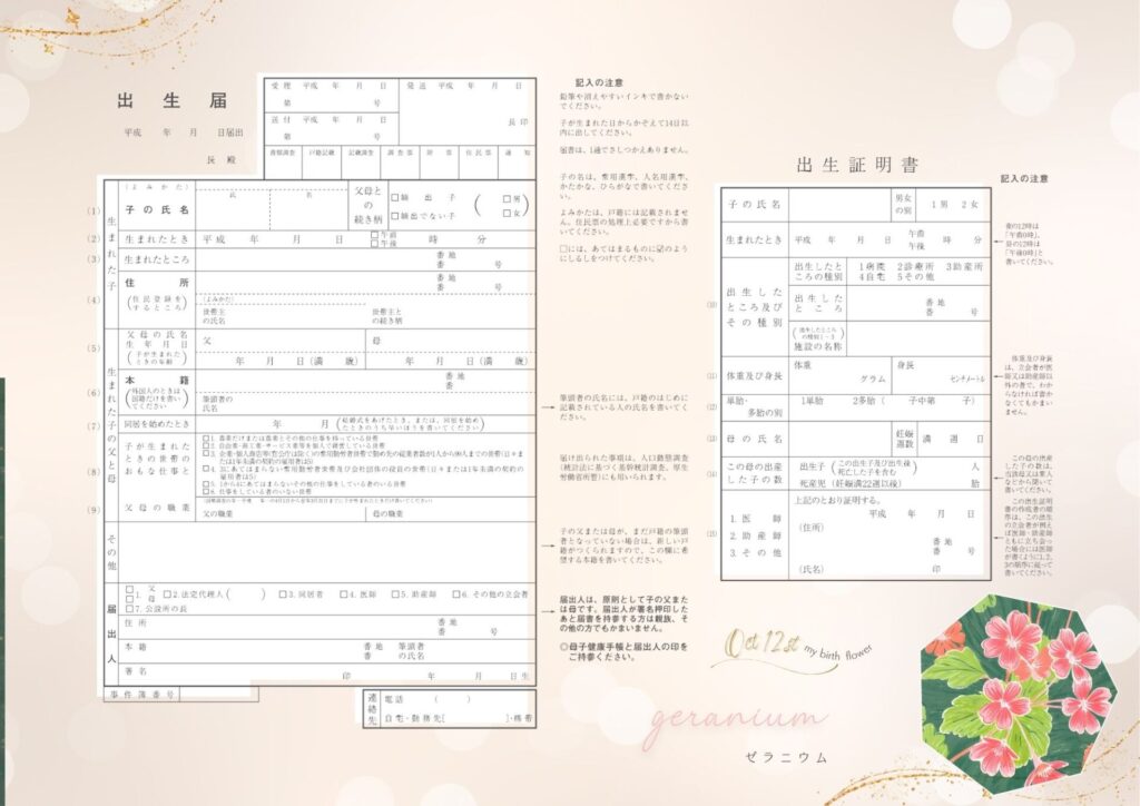 出生届_10月12日の誕生花：ゼラニウム