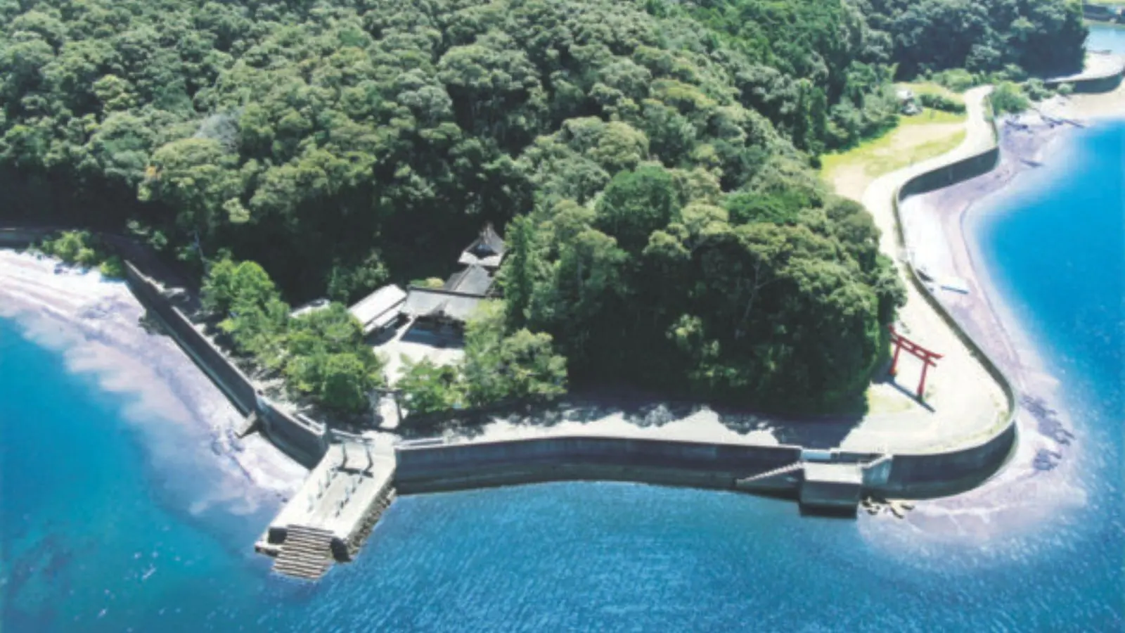 鳴神 楽天市場】ゼニス ZENITH 22.2310.692 エリート ウルトラシン