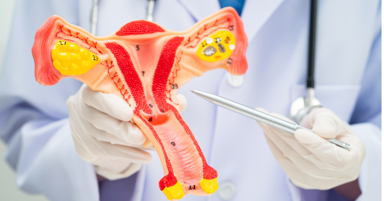 人工授精（AIH）は何回まで？次に進む目安と“卵管の通り”の考え方