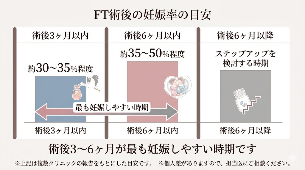 卵管鏡下卵管形成術（FT）後に妊娠しなかったら｜次のステップと体外受精への移行時期を専門医が解説