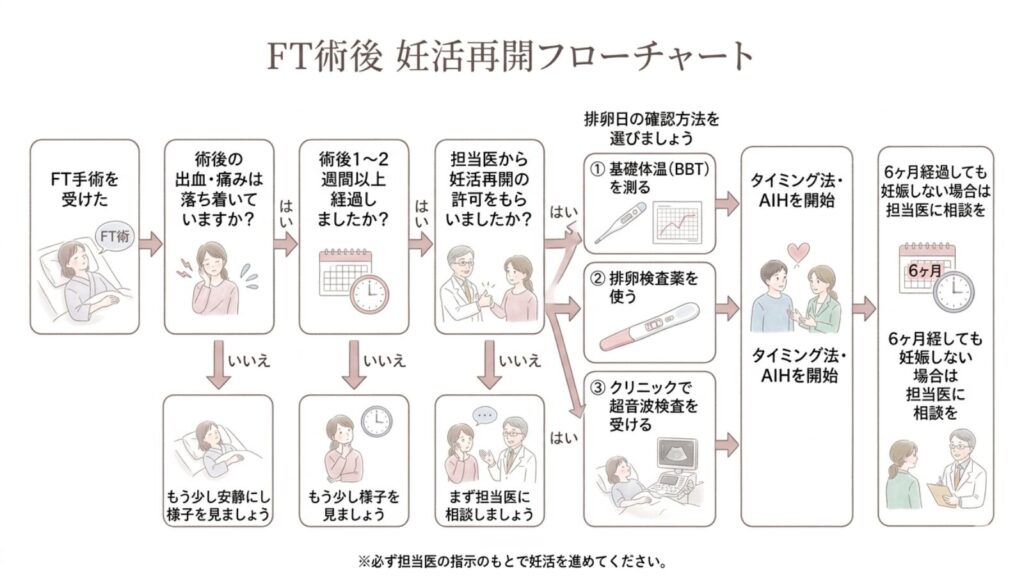 卵管鏡下卵管形成術（FT）術後の生活ガイド｜性行為・入浴・仕事・妊活の再開時期を解説