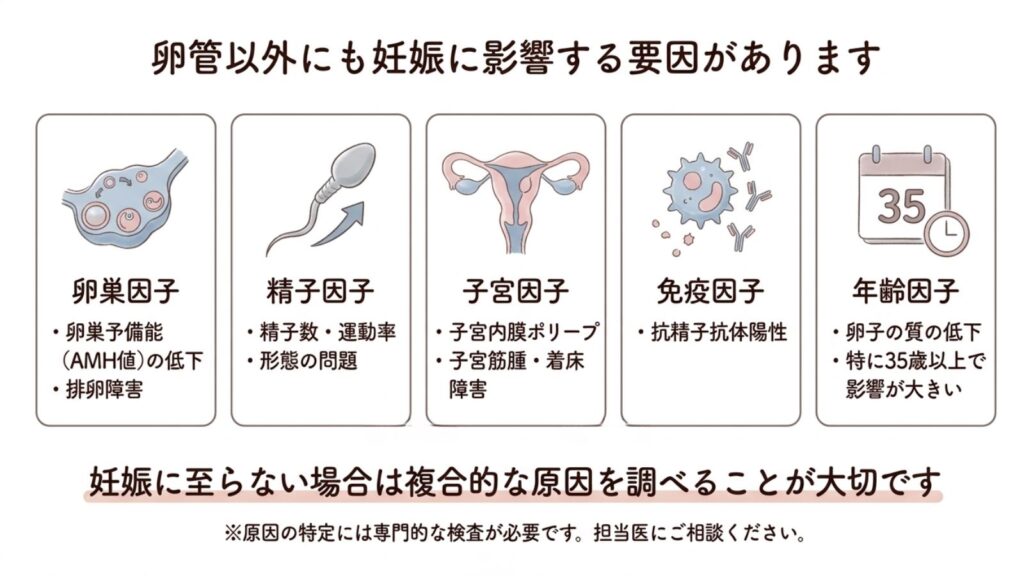卵管鏡下卵管形成術（FT）後に妊娠しなかったら｜次のステップと体外受精への移行時期を専門医が解説