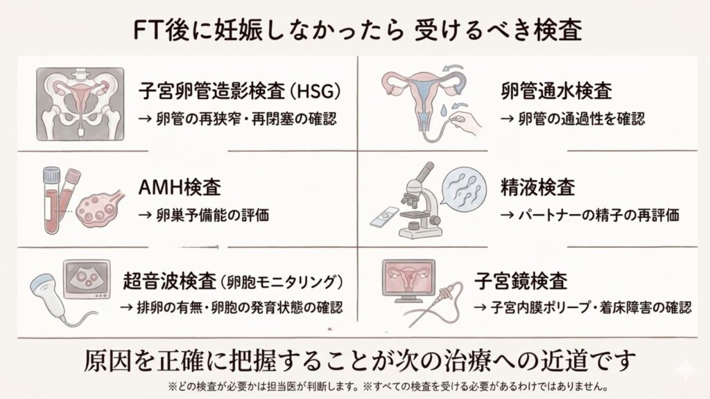 卵管鏡下卵管形成術（FT）後に妊娠しなかったら｜次のステップと体外受精への移行時期を専門医が解説